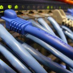 PTbackup